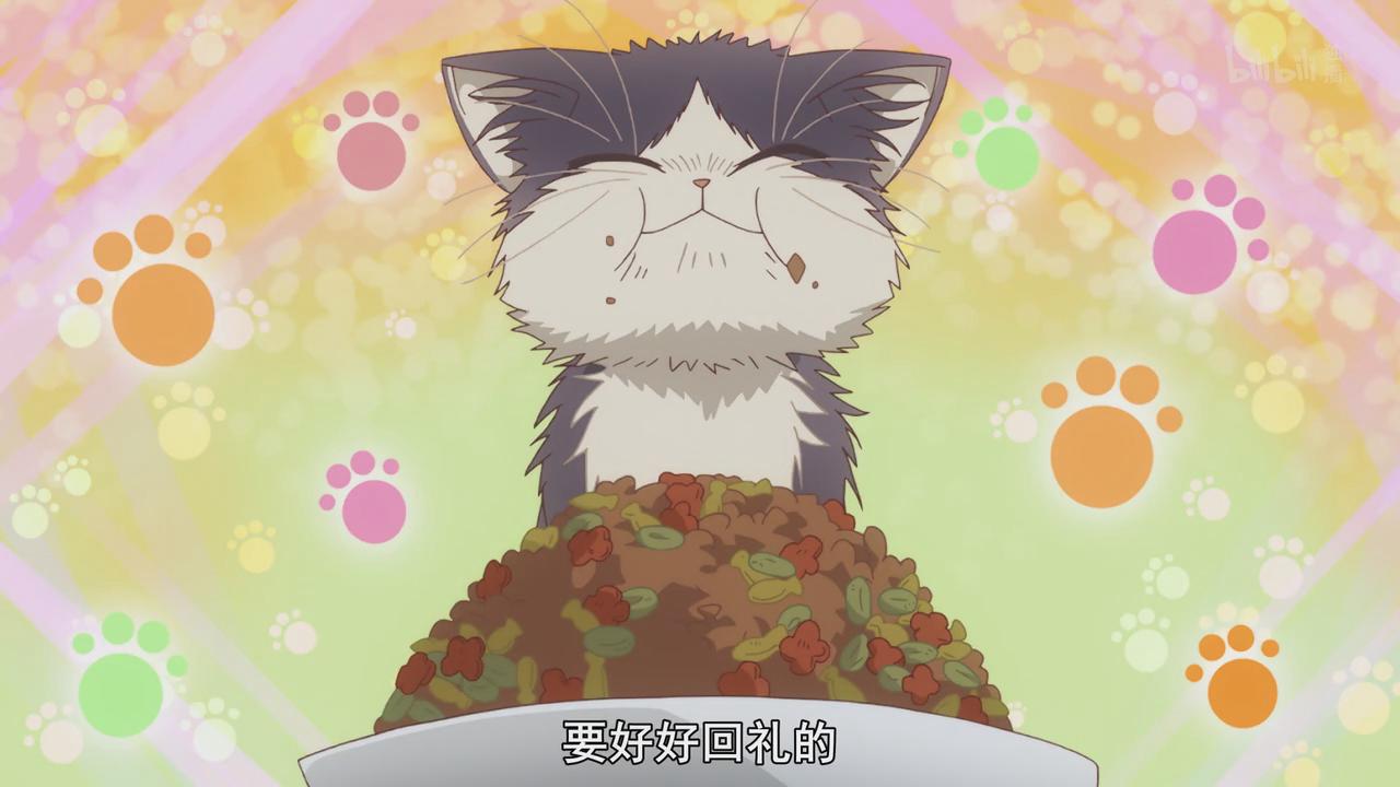 治愈系动漫新番猫猫,1月新番动漫因狗而幸福