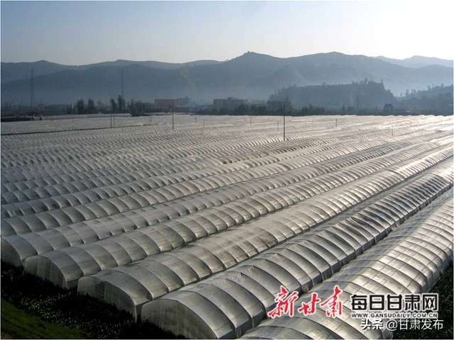 王一航：与农民一起扶犁37年马铃薯育种世界称王