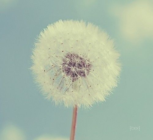 从零开始玩转自媒体平台,毛哥玩转自媒体