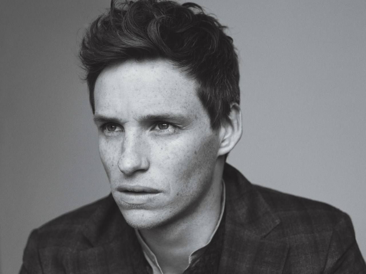 神奇动物在哪里小雀斑经典镜头,神奇的动物小雀斑