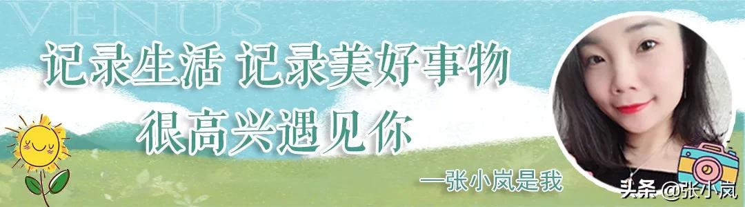 藏在森林里的儿童乐园,韶关市森林公园儿童游玩项目