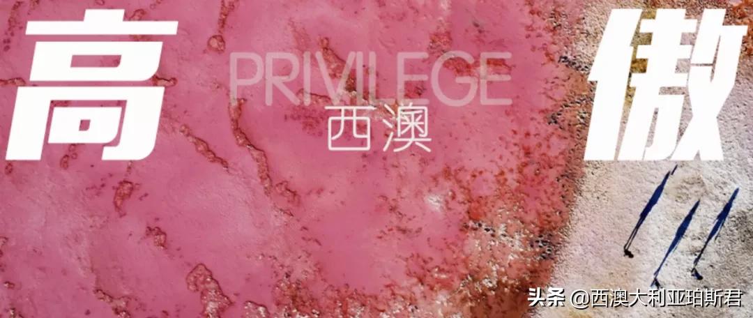 这个梗火爆全网？既然提到privilege，那就说说西澳人的高傲在哪