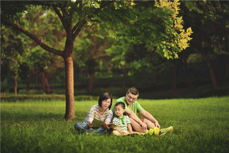 语文是什么诗歌,语文是什么的课程