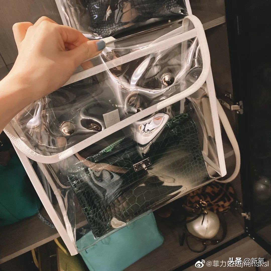 张大奕抄袭,张大奕抄袭事件后续