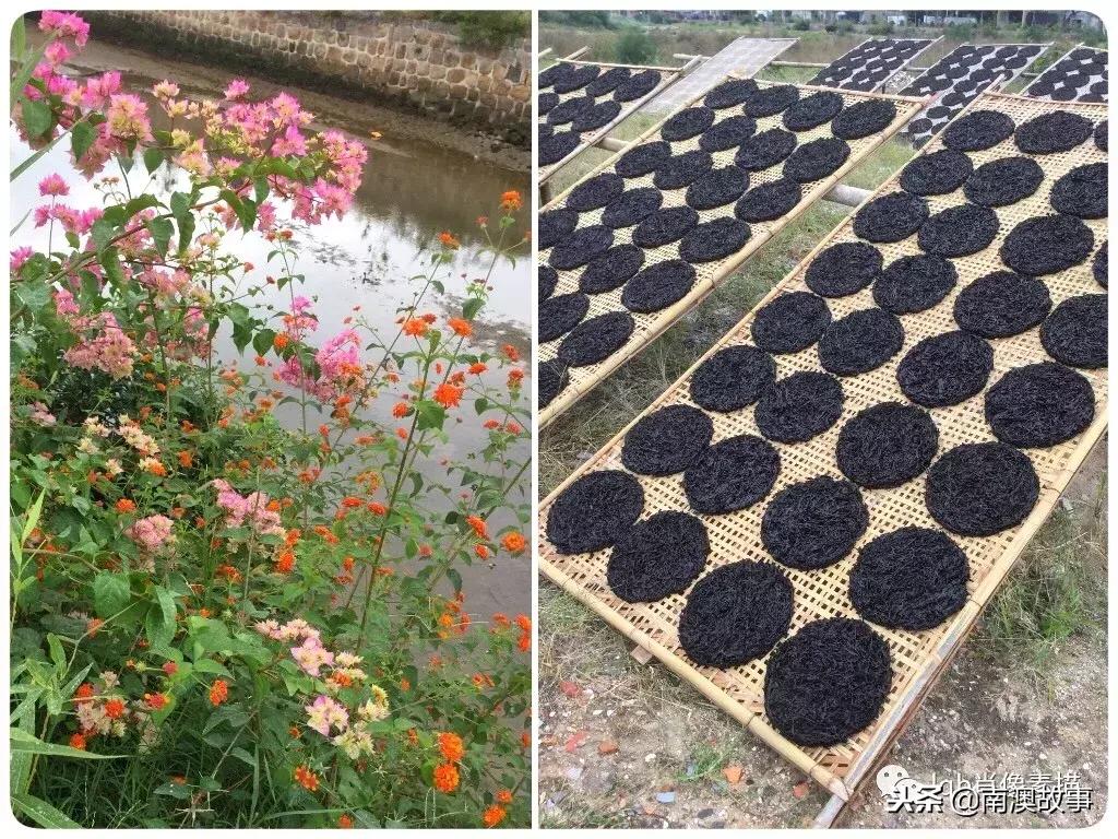 鐢讳腑浠欏,鐢讳腑浠欏灏忚