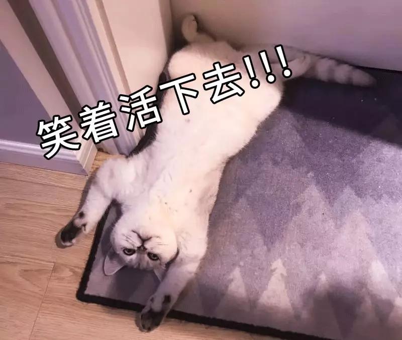 炒股最大的风险,如何炒股才能把风险规避到最小