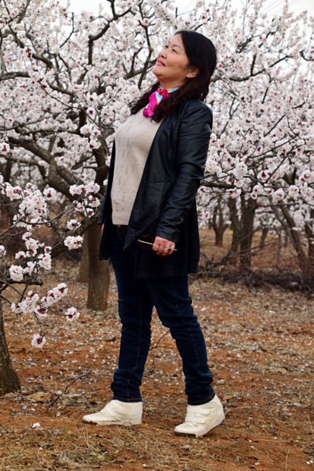 漂亮的杏花在枝头绽放,杏花盛开姹紫嫣红春意盎然