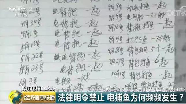 刑法规定的禁止使用捕鱼方法,非法捕鱼为什么屡禁不止