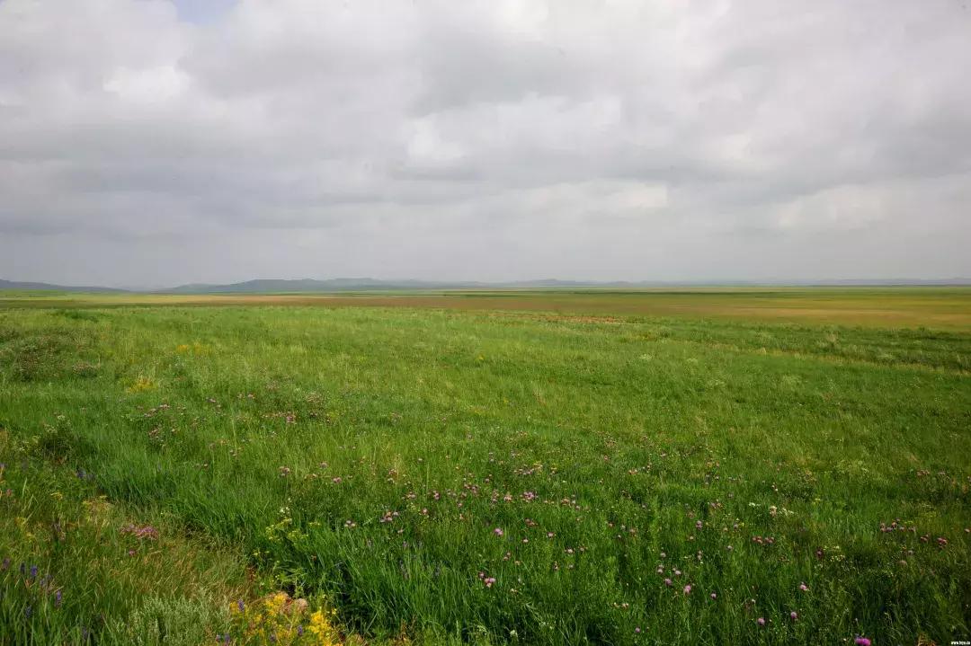 内蒙古乌拉盖地图,内蒙古乌拉盖位置