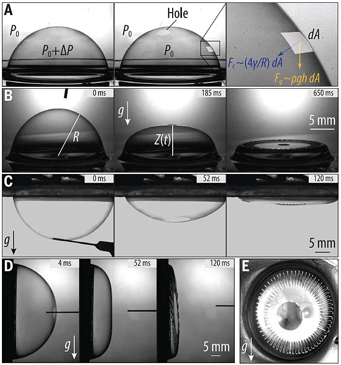 才下又上,nature期刊最新封面