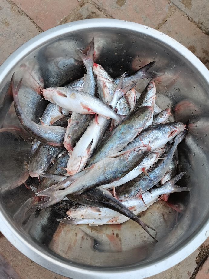 包网捕鱼到底要怎么样，答案在这里。