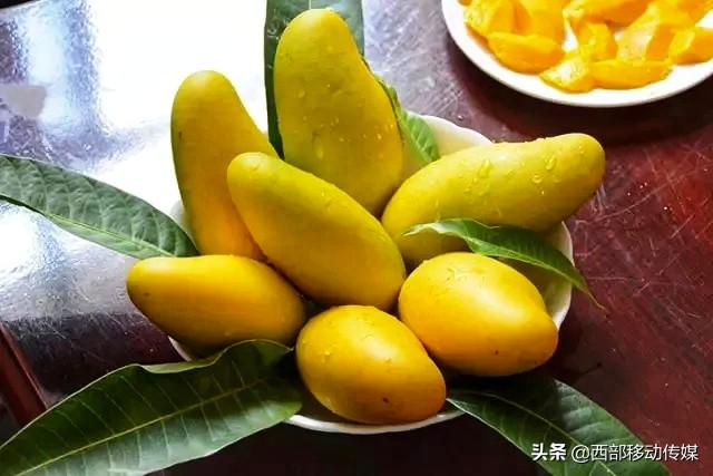 我喜欢芒果你喜欢吗用英语怎么说,我喜欢芒果