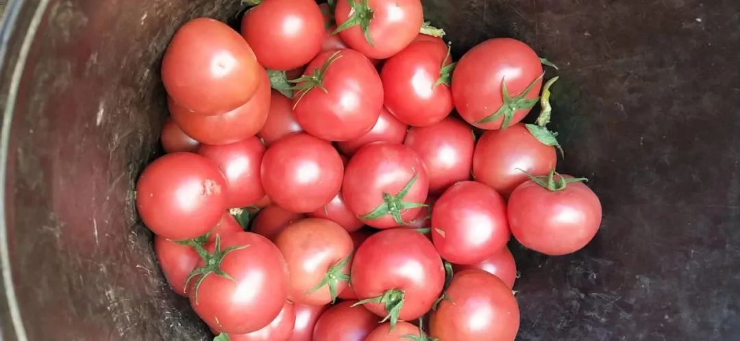 CBD里的Chloe、AmandaandKatharine,都在㳽到脑壳买农副产品