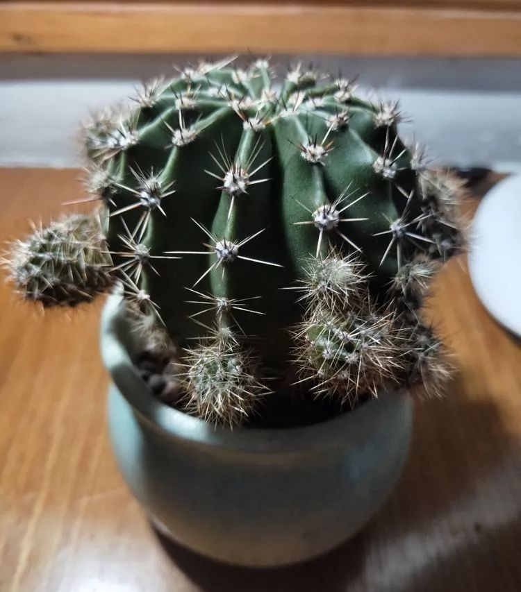 大四老学姐的寝室生活,养肉路上的真实感受