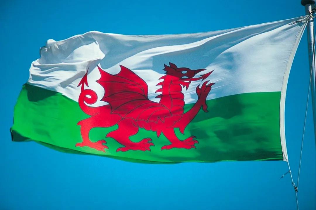 世界上的各种三色旗国家,世界三色旗的国家有哪些如何区别