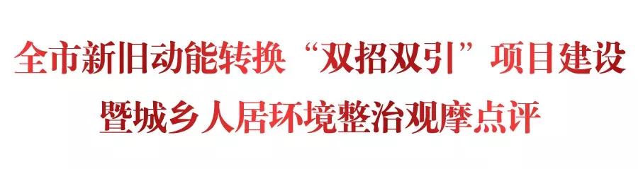 聚焦新旧动能转换聚焦乡村振兴,聚焦枣庄新旧动能转换项目推进会