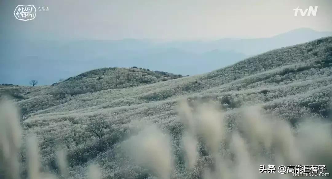 宋仲基最近的新剧,宋仲基2022新剧