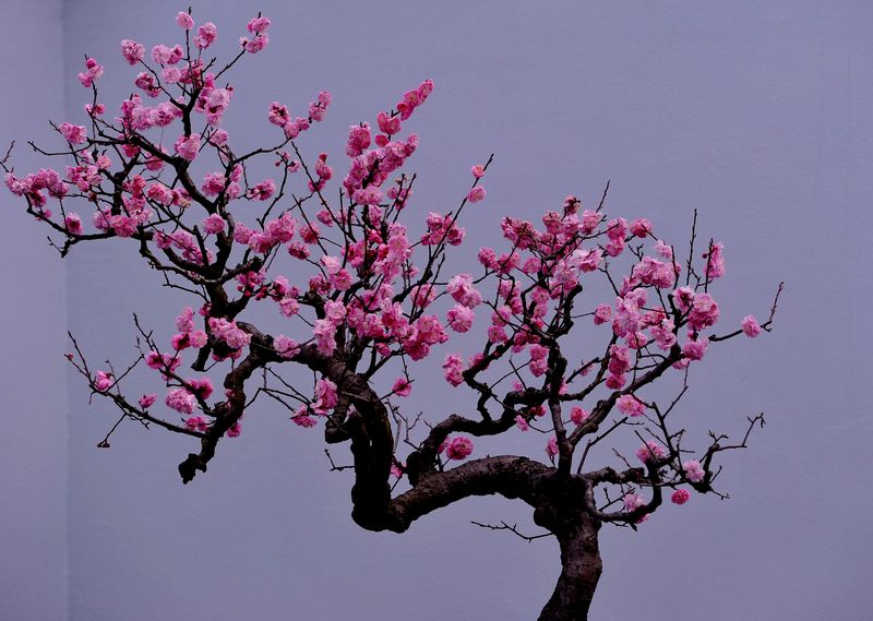 诗词大会第四季董卿唯美开场词,诗词大会第一季董卿唯美开场白