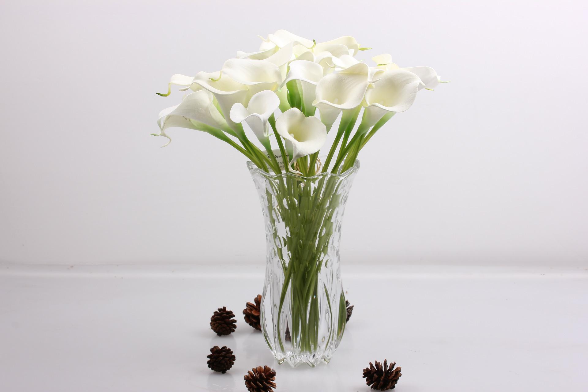 马蹄莲盆栽大花朵,马蹄莲花漂亮