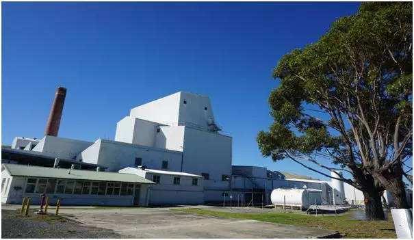 网红贝拉米奶粉,网红奶粉贝拉米