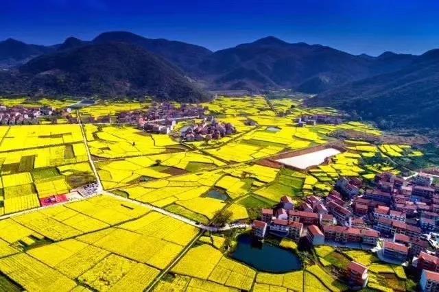 来看新地标,黄冈东坡地标优品