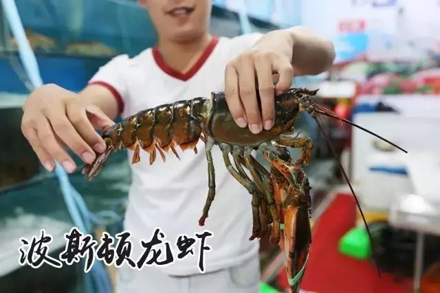 秦皇岛人都知道的地方,秦皇岛最好的海鲜自助餐厅排名榜