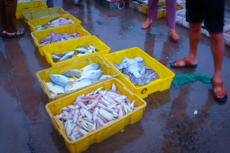 广东湛江旅游攻略美食,湛江旅游海鲜推荐一下