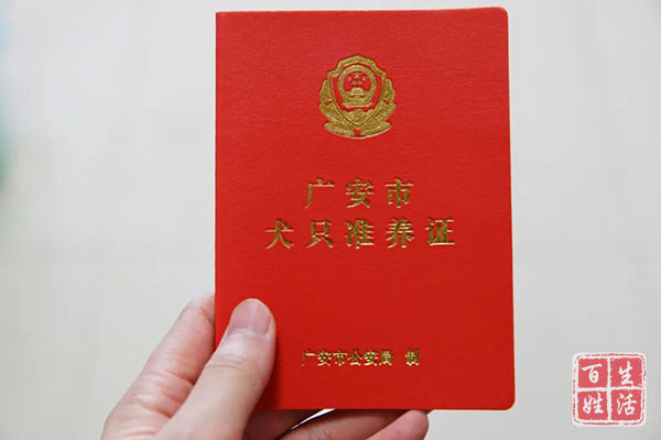 养犬新规实施犬证办理成热门,办理养犬证明需要哪些手续