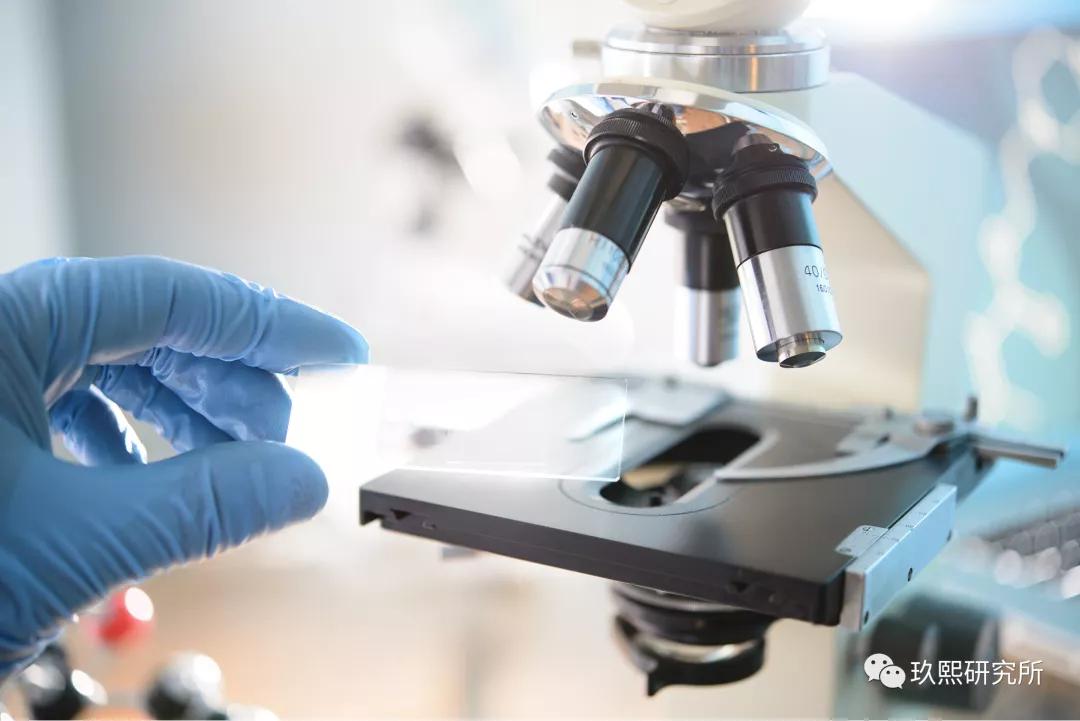 外行如何看出门道,外行看门道技巧视频