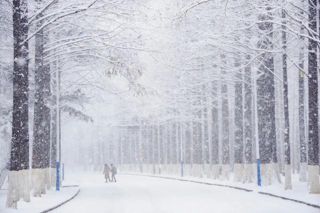 突然就想去旅游了,忽然间就想去厦门了