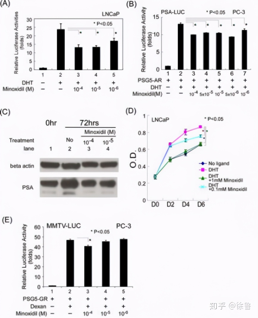 米诺地尔防脱还是生发 (米诺地尔酊对防脱有用吗)