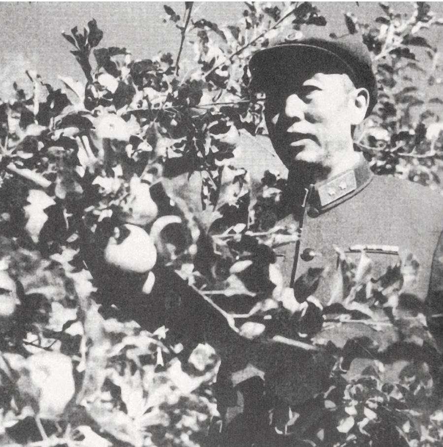 谭冠三将军墓,谭冠三烈士陵园