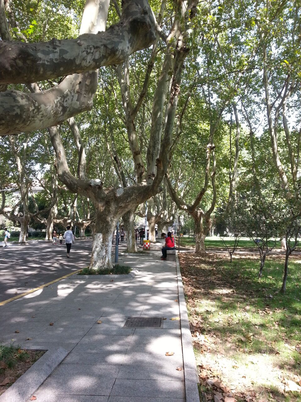 大学自主招生报名详细流程,广东高职自主招生报名流程