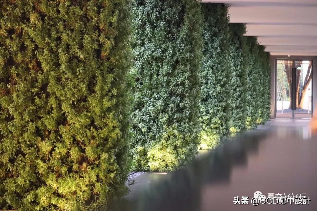 ccd设计的成都哪些酒店,香港ccd设计的酒店