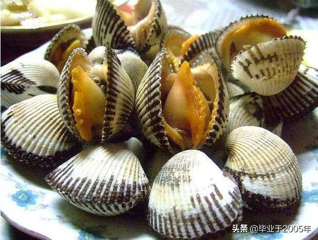 大连鱼市海鲜贝类品种,大连贝类海鲜图片大全