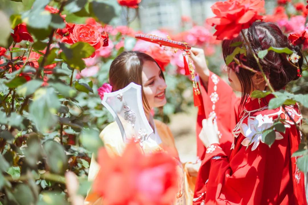 又刷屏了！高新这片花海，惊艳你的朋友圈！