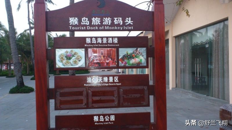 海南南湾猴岛上的猴子,海南著名的南湾猴岛在哪里