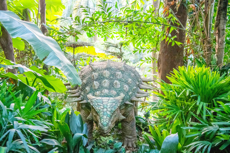 离广州长隆最近的海滩景点,长隆海洋世界王国必打卡景点