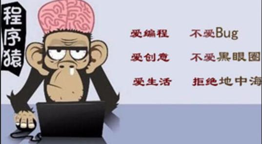 又掉发了？电脑工作者的痛，唯有他们可以解