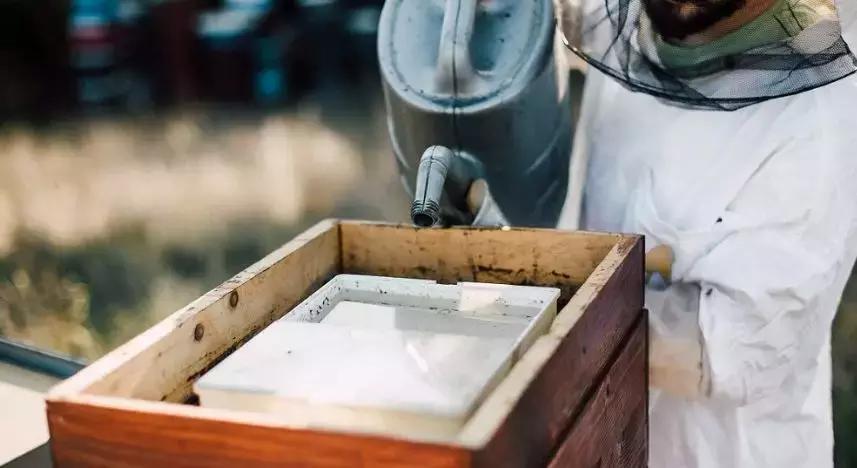 舌尖上的蜂蜜吃法,蜂蜜块嚼着吃推荐