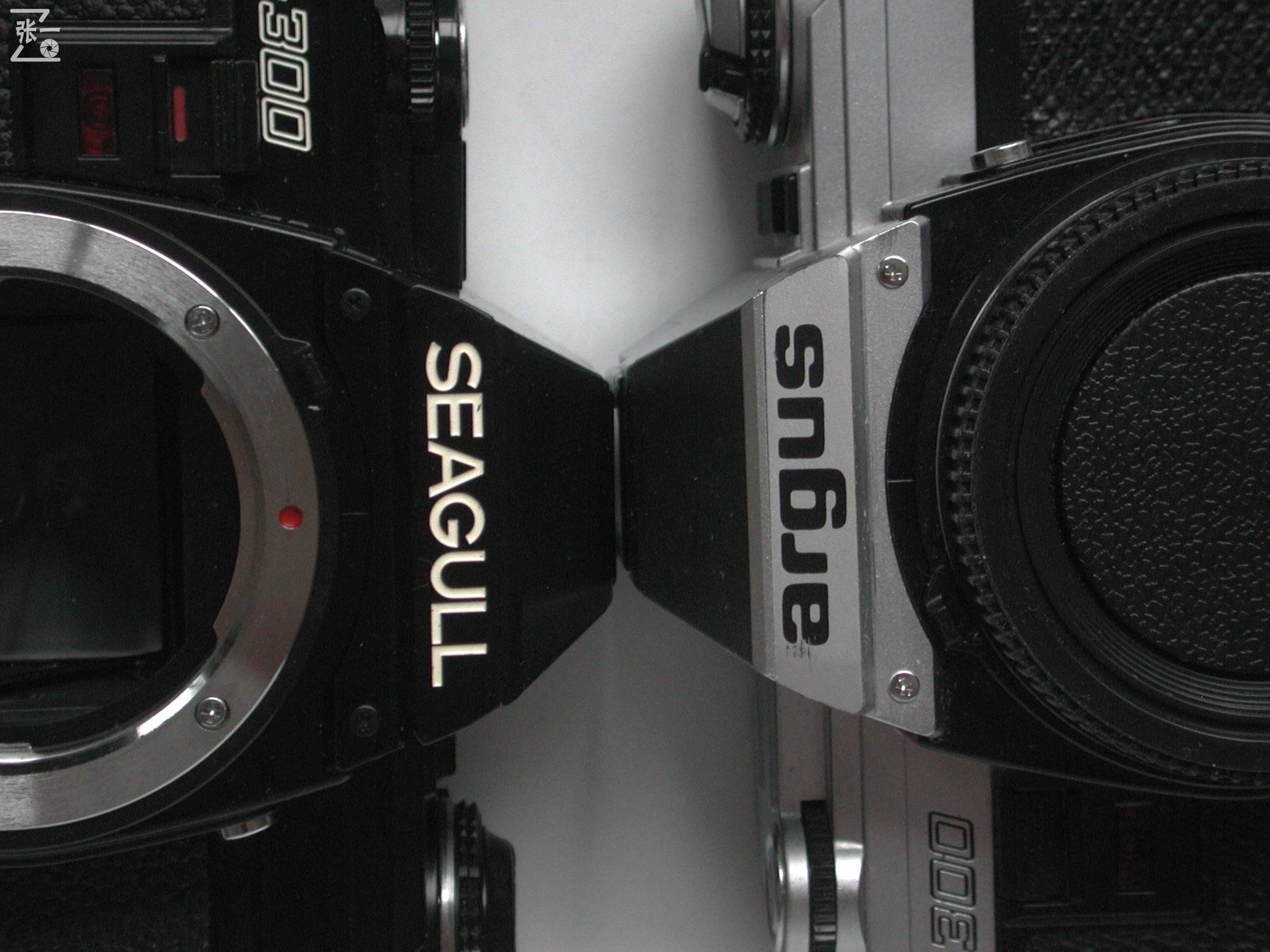 上海海鸥df相机,老牌海鸥单反相机价格表