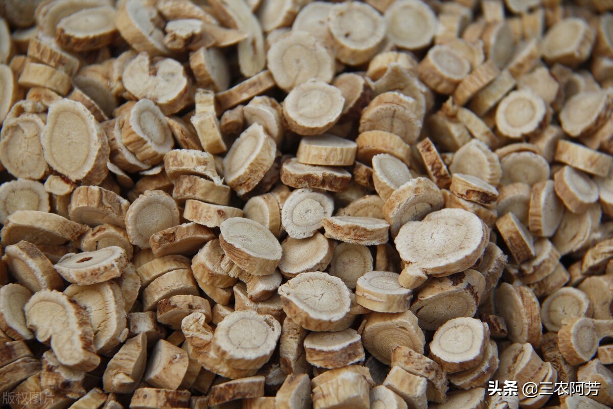 家禽用黄芪多糖的功效与作用,黄芪多糖对家禽的功效与作用