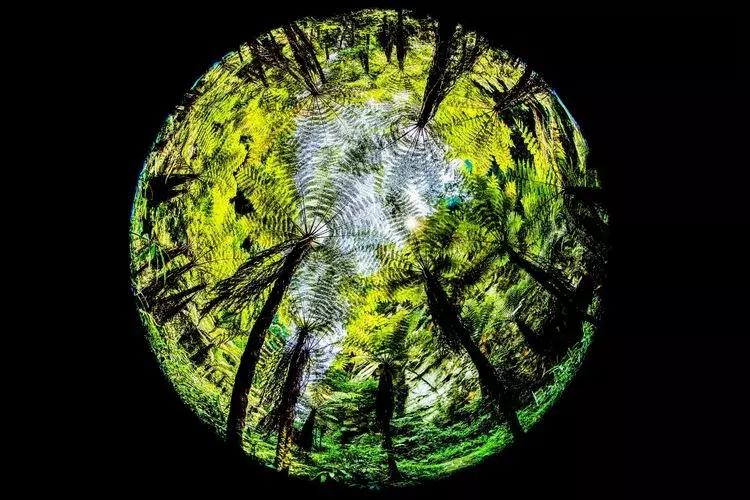 犍为风景最优美的地方,美丽的犍为风景