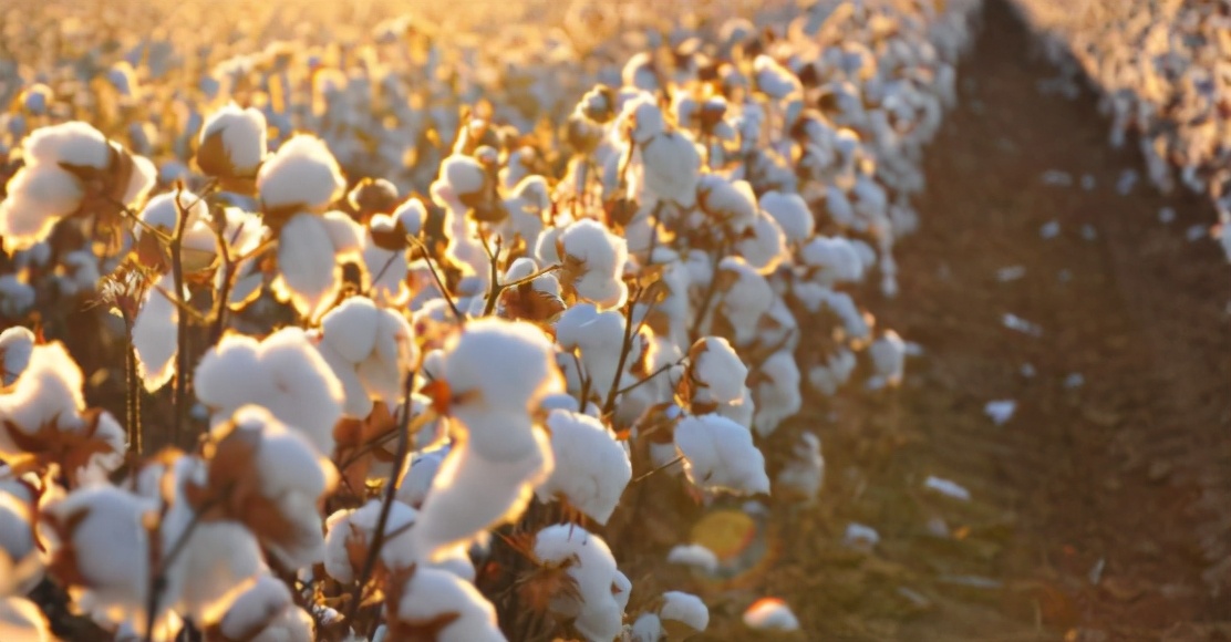 我为什么希望HM们不要怂？