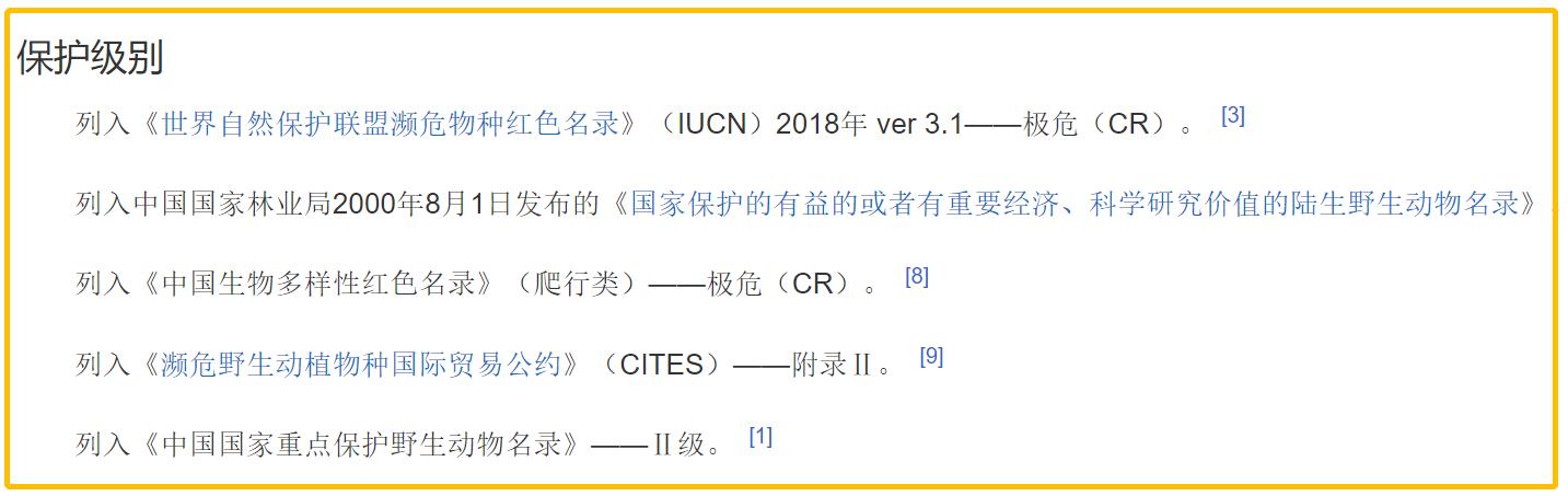 广东男主播在湖边捡到黄龟,男子钓到国家保护鱼类