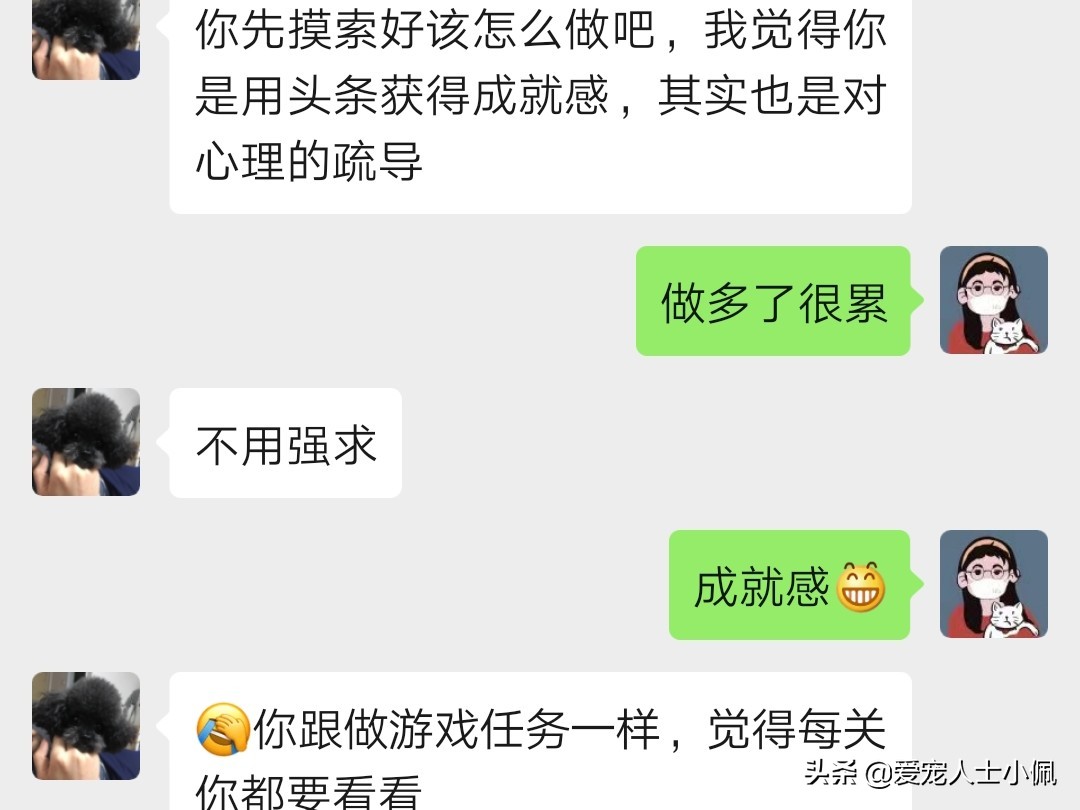 猫狗得了皮肤病怎么治疗,猫狗皮肤病怎么才算好