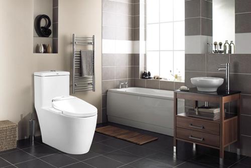 智能马桶盖产业,智能马桶盖的市场前景