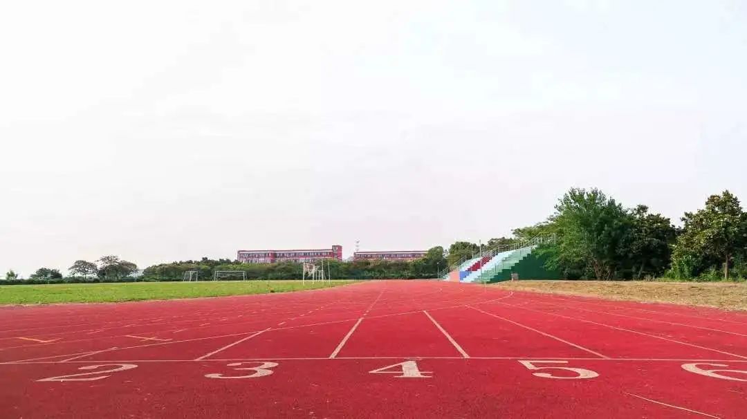 苏州托普“拍了拍”你：冲吧，乘风破浪的毕业生