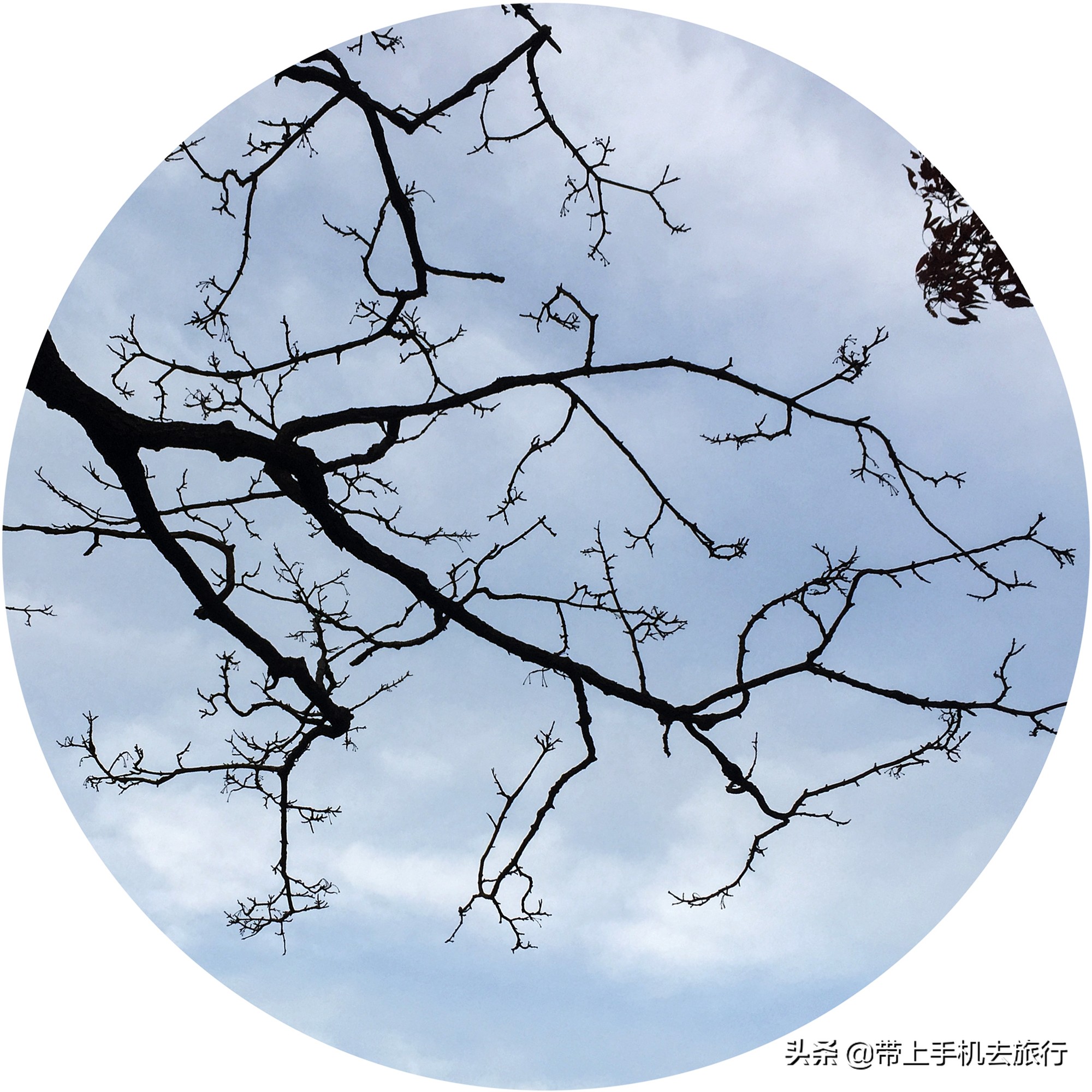 手机怎么拍出好看的画质,手机如何拍摄手机画面好看