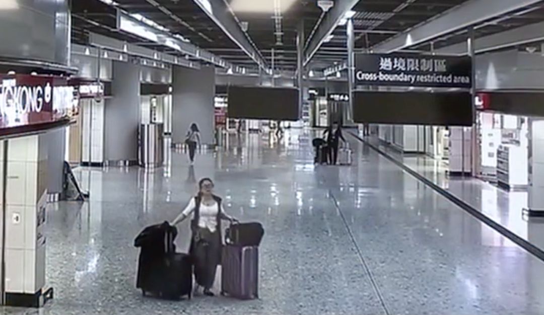 蚂蚁搬家走私获利上百万,蚂蚁搬家侵权案例